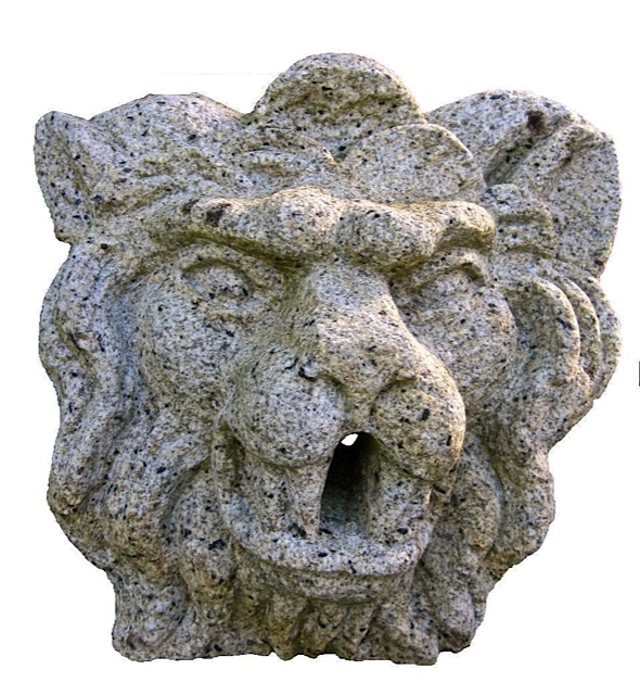 48- Cara de león perforada para echar agua