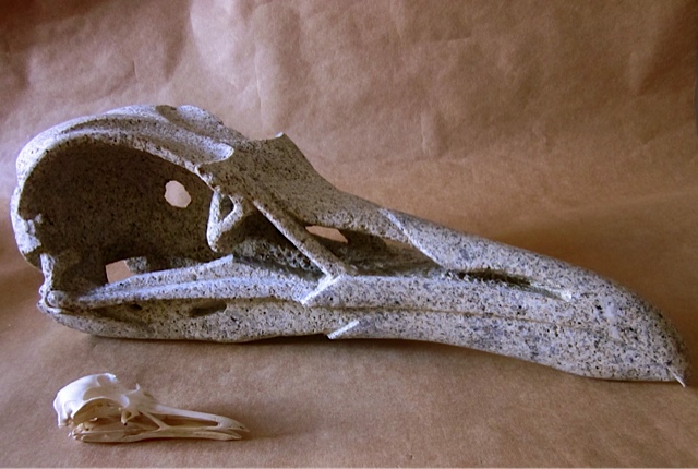 8 - Cráneo de gaviota - granito - 50x23x20cm -2010